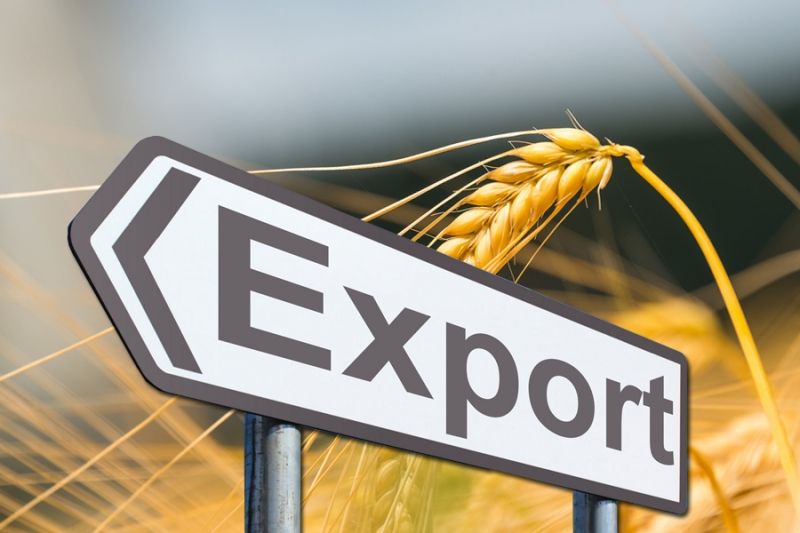 Российские зерновые компании достигли рекордных показателей экспорта