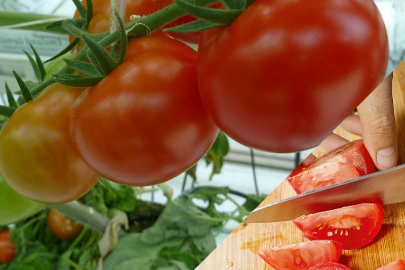 Объем импортных овощей на рынке РФ сократится до 10 процентов