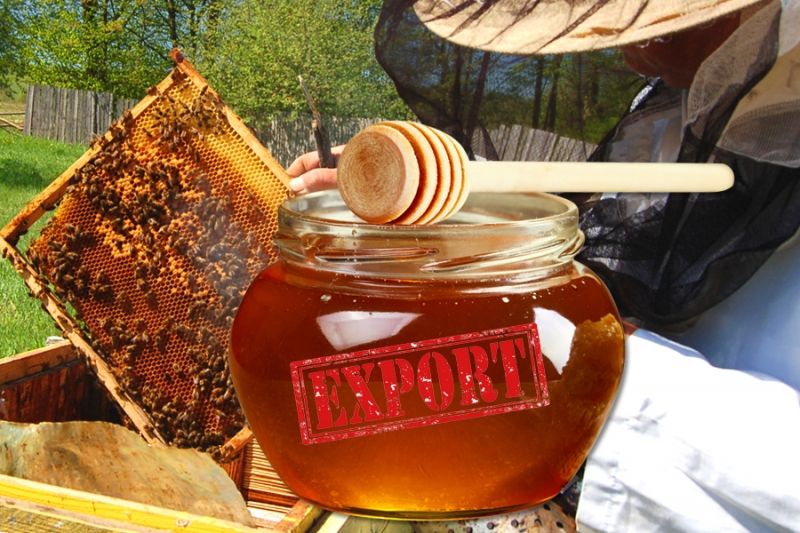 Приморский край в 2020-ом увеличил экспорт меда