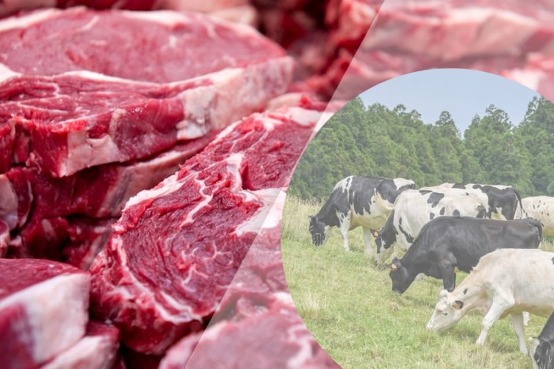 Россия предложила ЕАЭС ставки ввозных пошлин на мясо