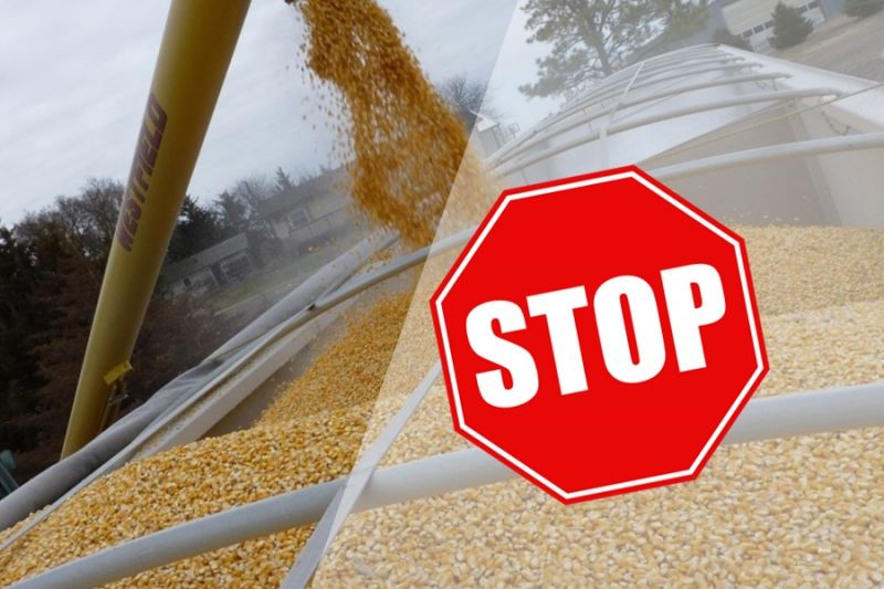Российское правительство разработает систему постоянных пошлин на зерно
