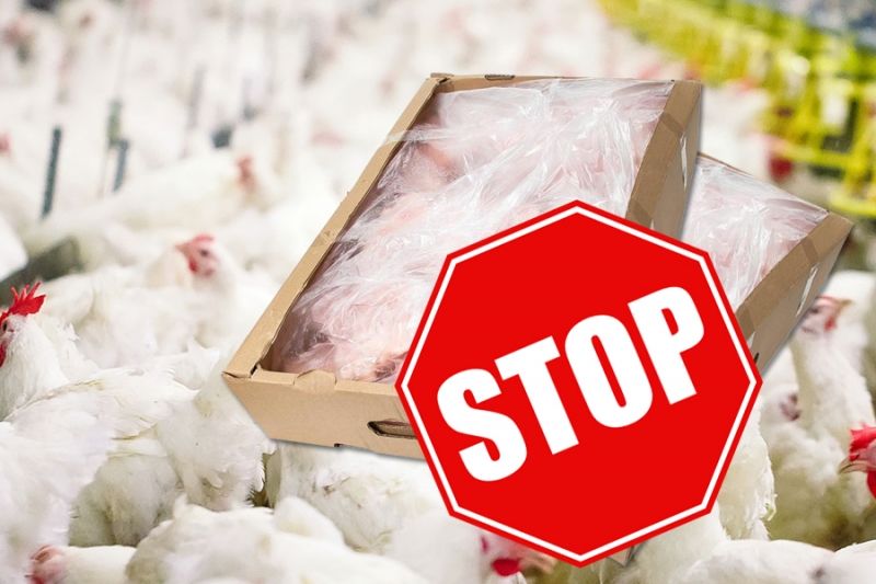 Россельхознадзор заблокировал поставки птицеводческой продукции из ряда стран