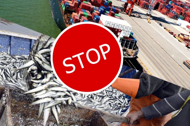 Российские рыбопромышленные компании могут отказаться от китайского рынка