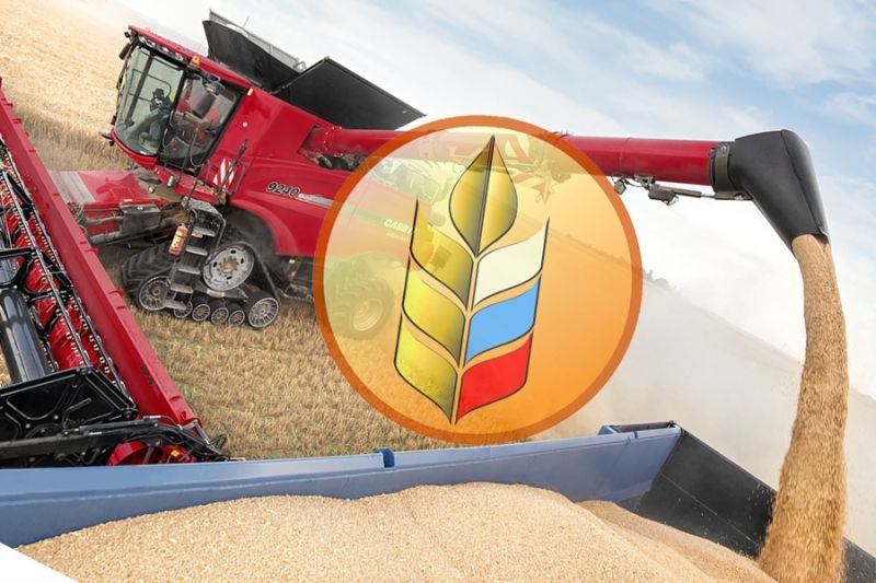 Российский зерновой экспорт показал 28-процентный рост