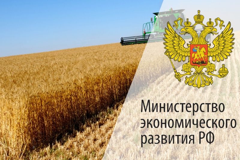 Минэкономразвития: введение экспортной пошлины позволило снизить цены на пшеницу