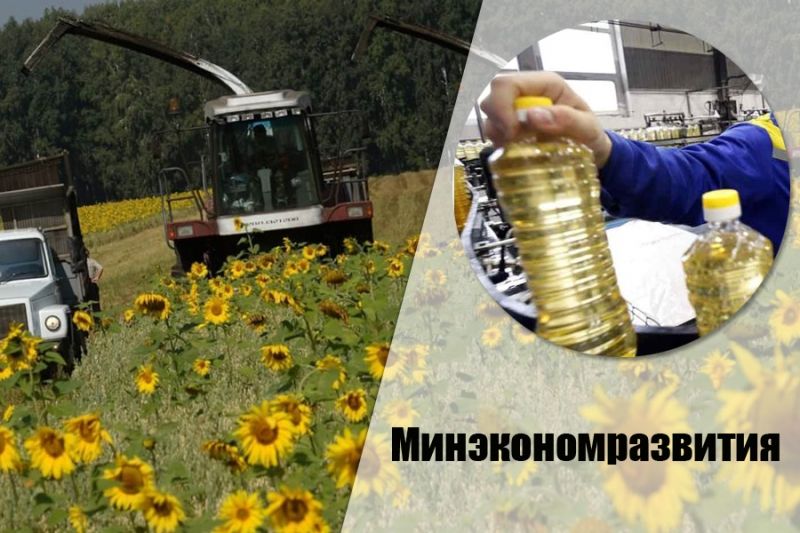Минэкономразвития РФ: пошлины на подсолнечник и масло следует поднимать комплексно