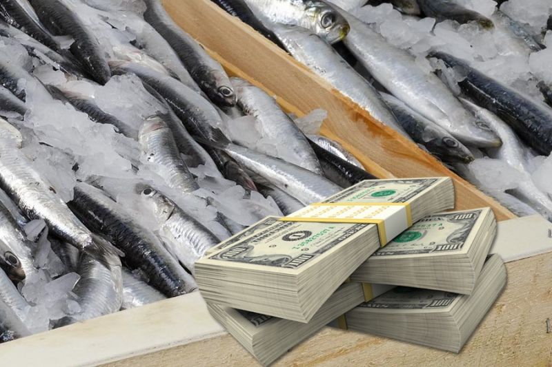 Российские поставщики рыбы выходят на новые рынки