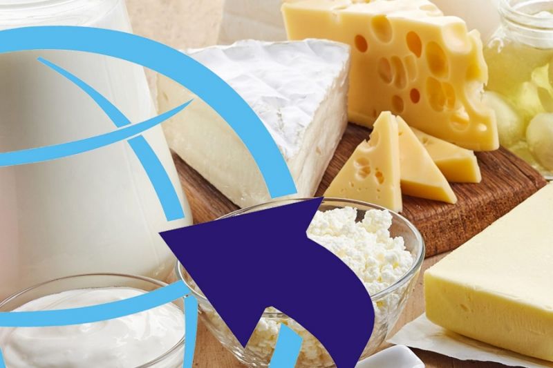 Российские производители значительно увеличили экспорт молока