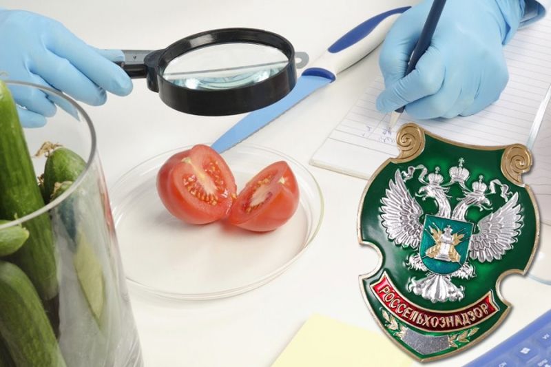 Россельхознадзор открыл ввоз томатов с азербайджанских предприятий