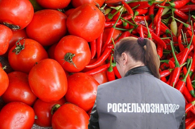 Россельхознадзор предупредил белорусских поставщиков о выявленных нарушениях