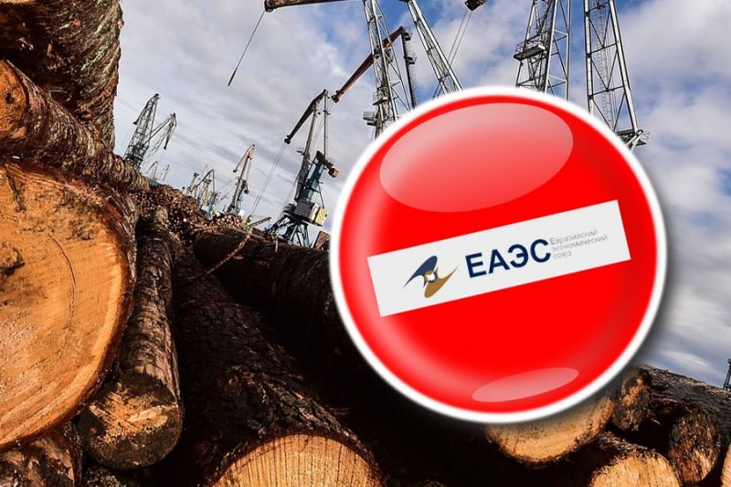 ЕАЭС ввела нулевую квоту на экспорт лесоматериалов