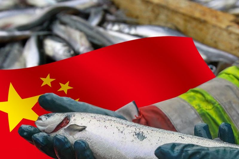 КНР открыла порты для приема российской рыбы