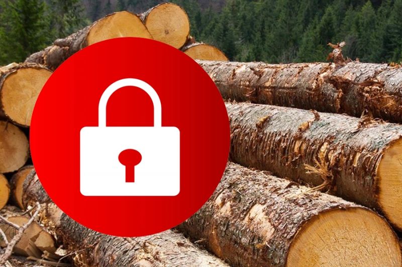Минпромторг РФ: квоты на вывоз в ЕАЭС необработанной древесины