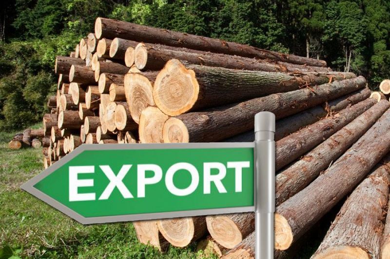 Приморье продолжает наращивать экспорт лесоматериалов