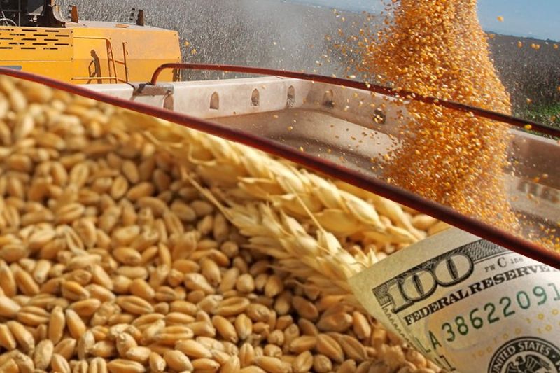 Российский зерновой экспорт снизился более чем на четверть