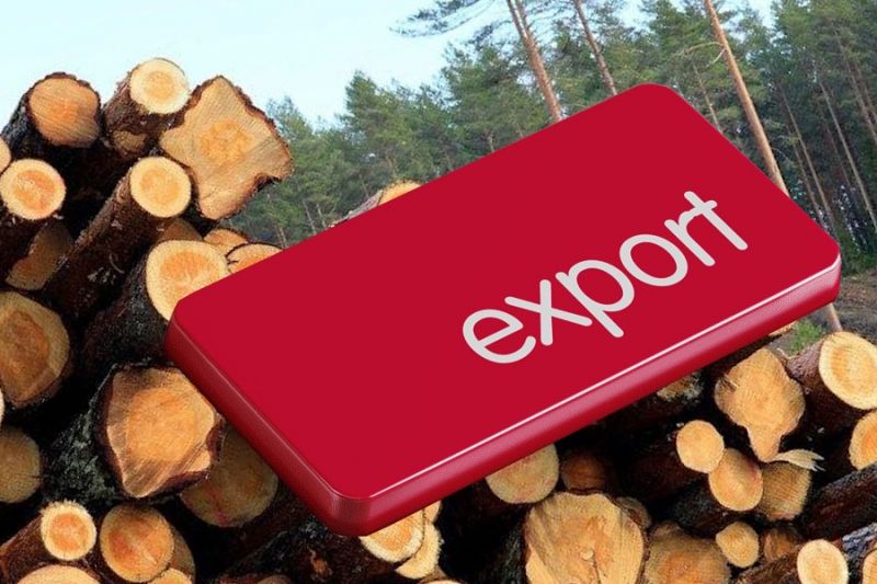 Российские власти запретили вывоз леса в ряд стран
