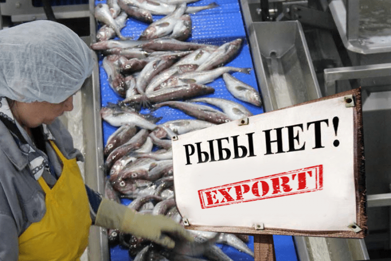 Российские переработчики рыбы просят власти ограничить экспорт
