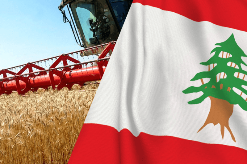 Ливанские власти готовы закупать российское продовольствие