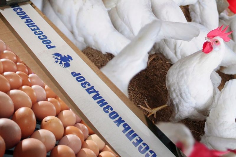 Россельхознадзор заблокировал поставки голландской птицы и яиц