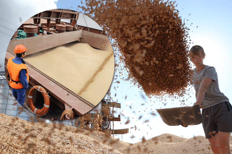 Россия увеличила экспортные лимита зерна