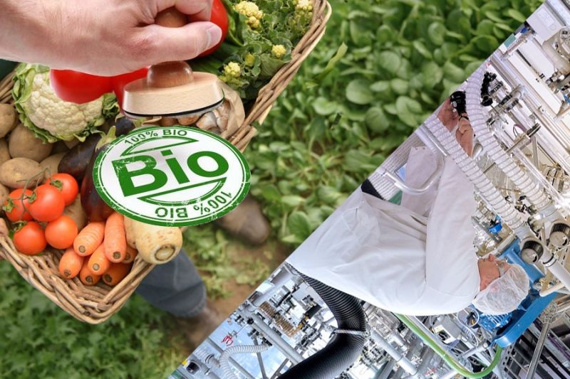 Госдума РФ приняла правила производства органической продукции