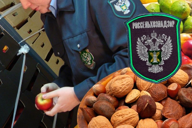 Россельхознадзор снял блокировку на ввоз фруктов из Узбекистана