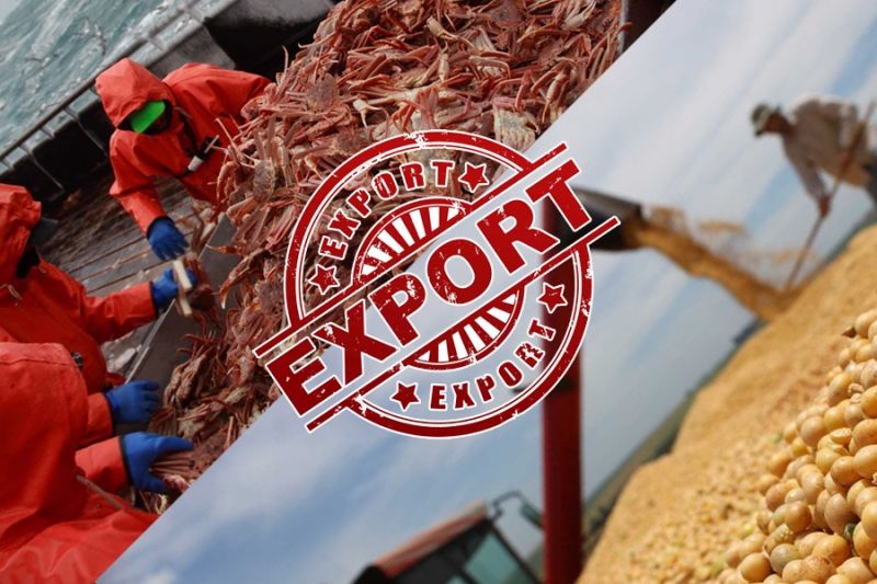 Минсельхоз РФ: сельскохозяйственный экспорт — национальная задача