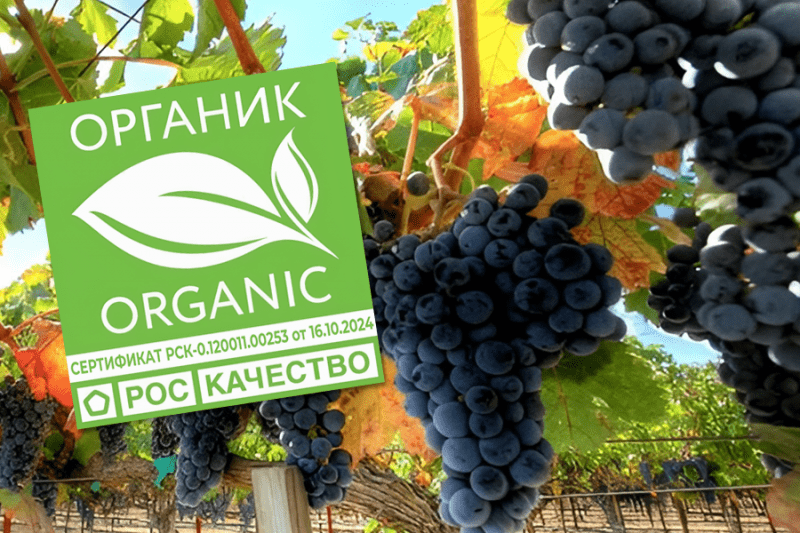 Роскачество: как пройти сертификацию органического вина?