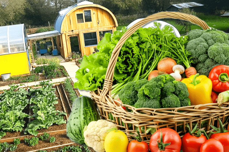 Госпрограмма реализации продукции личных подсобных хозяйств