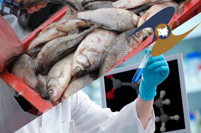 ЕЭК дала пояснения по отдельным положениям техрегламента рыбной продукции
