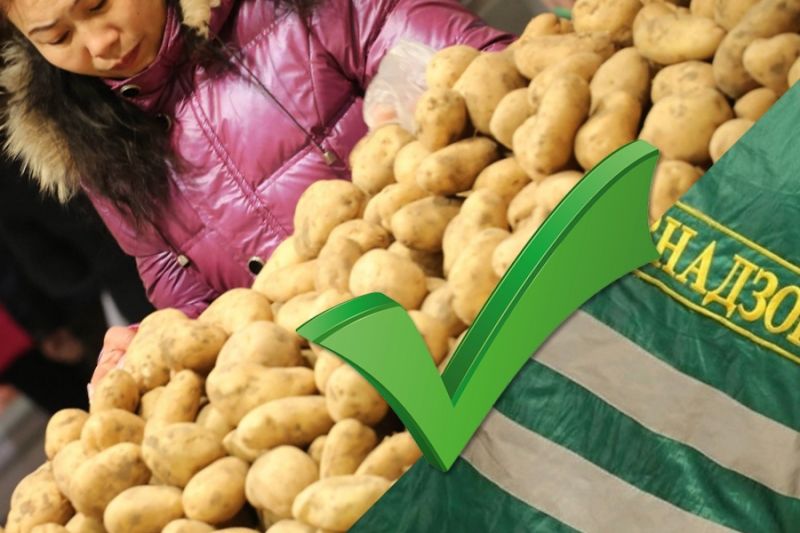 Китайский картофель не войдет в перечень ограничений Россельхознадзора