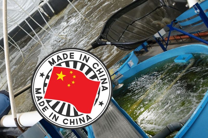 Россельхознадзор снял блокировку с китайского экспорта осетровых рыб