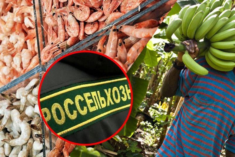 Россельхознадзор готов ввести ограничение поставок эквадорских креветок