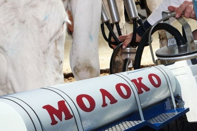 Российские молочные производители получили выход на оманский рынок