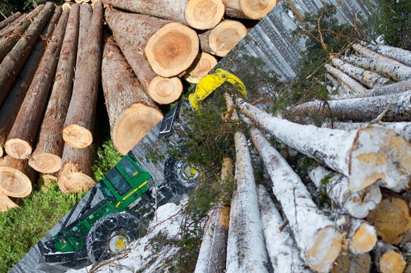 Снижение пошлины на экспорт леса поможет Приморью выйти на полную переработку
