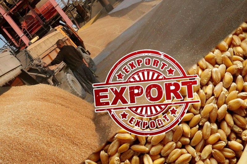 Российские власти вводят ограничение на экспорт зерна