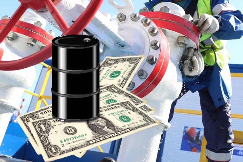 Белорусские власти рассчитывают на покупку российской нефти по 4 доллара