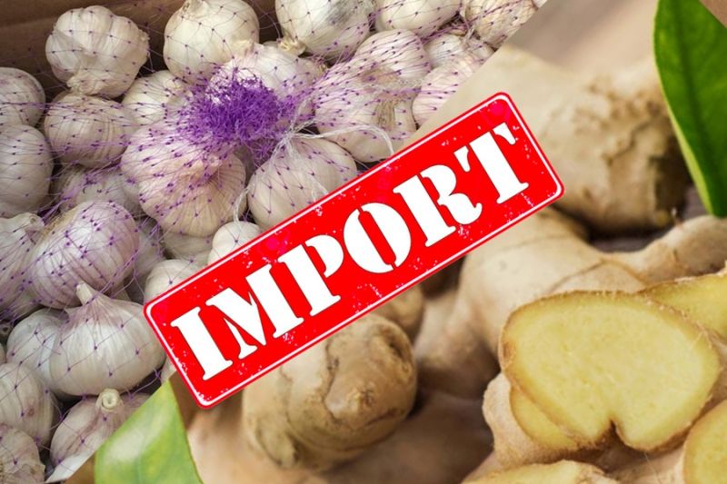 Россельхознадзор отмечает увеличение импорта имбиря и чеснока