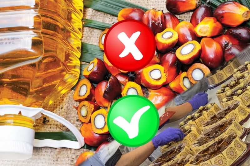 Росстат отметил снижение импорта пальмового масла