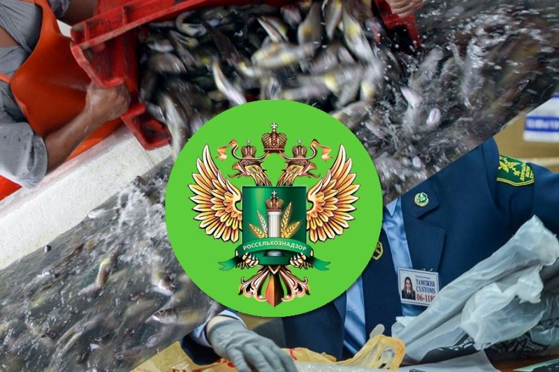 Россельхознадзор: запрет на поставки китайской живой рыбы снят