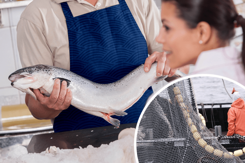 Росрыболовство: ситуация на рыбном рынке сбалансированная