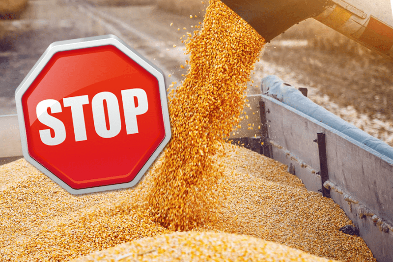 Минсельхоз РФ: распределение дополнительной квоты на экспорт зерновых