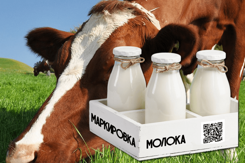 Маркировку молока предлагается вести по товарным партиям