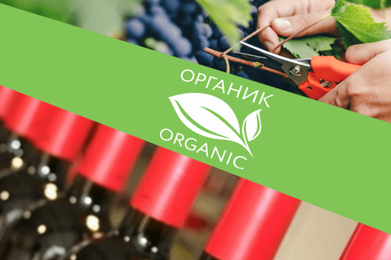 ГОСТ органического производства: изменения вступили в силу