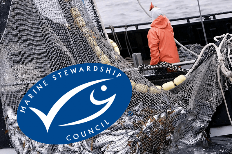 Американские власти требуют запретить экомаркировку российской рыбы